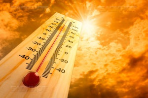 На текущей неделе Борисоглебск вновь накроет жара