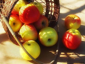 Яблочный Спас: особенности праздника нового урожая