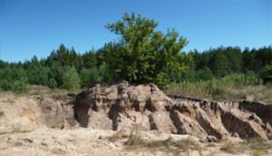 Незаконный карьер по добыче песка обнаружен в одном из сел Борисоглебского района