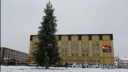На создание главной елки Борисоглебска ушло 200 сосен