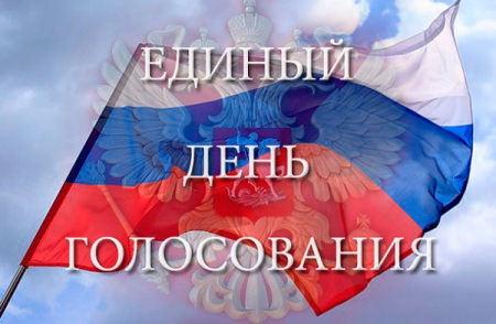 Обнародованы результаты выборов в Воронежскую областную думу по Борисоглебску