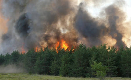 В Борисоглебске установили самый высокий уровень пожароопасности
