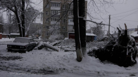 В Борисоглебске жители нескольких улиц остались без света из-за оледенения и снегопада