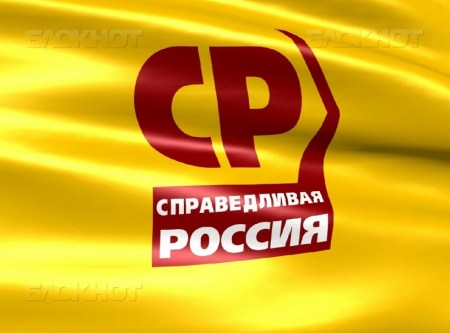 Вячеслав Владимиров сообщил о переносе пикетов в Борисоглебске