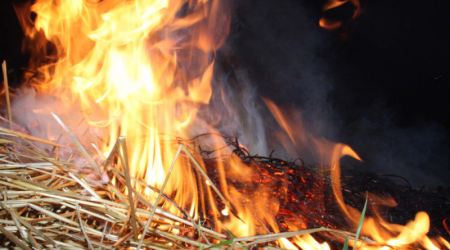 В Борисоглебском районе фермеру за долг в 3000 рублей сожгли сенохранилище