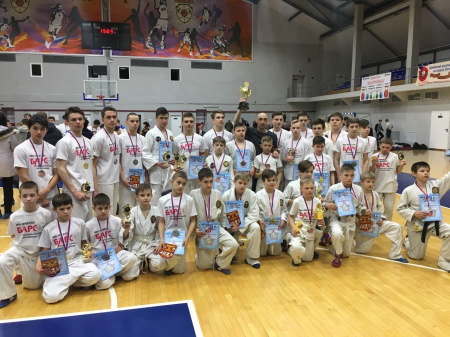Борисоглебские «барсы» завоевали 29 медалей на областном первенстве