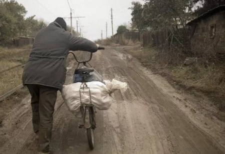В Грибановском районе мужчина своровал 64 кг картошки и скрылся с награбленным в ночи на велосипеде