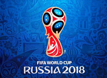 В Воронежской области заработает горячая линия для болельщиков Чемпионата мира по футболу