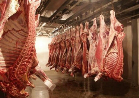 Воронежская область заняла 4 место по производству мяса
