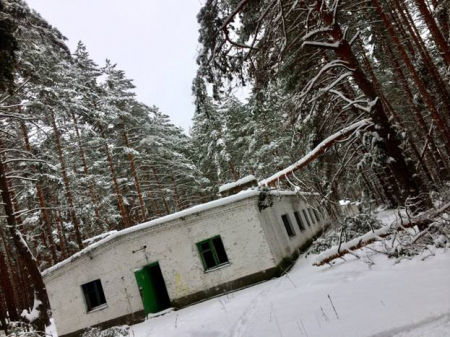 Заброшенный детский лагерь «Сокол» под Борисоглебском планируют сдать в аренду