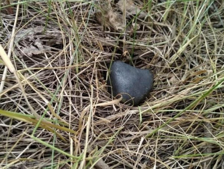 Ученые показали фотографии пролетавшего над Воронежем метеорита