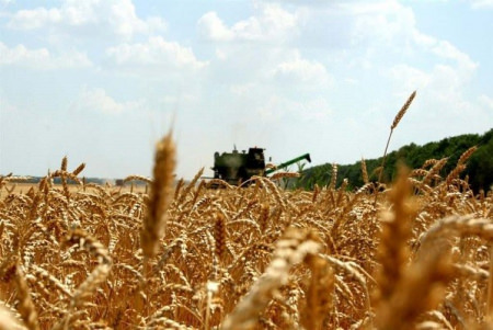 В Воронежской области собрали первый миллион тонн зерна