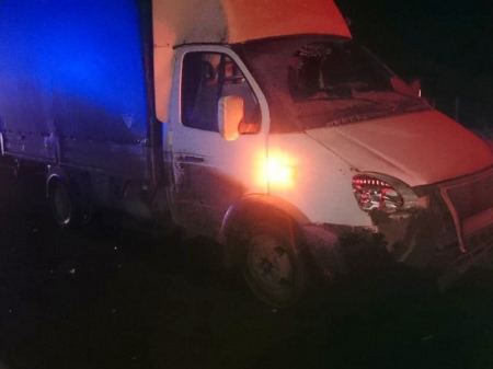 27-летняя женщина погибла под колесами грузовой «Газели» под Борисоглебском