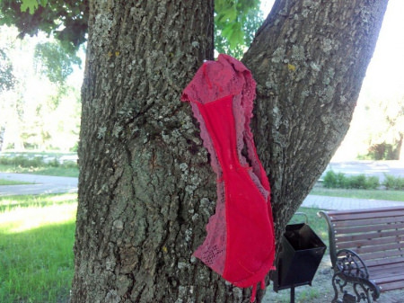 Кружевное белье обнаружил наш читатель на дереве в Театральном парке Борисоглебска