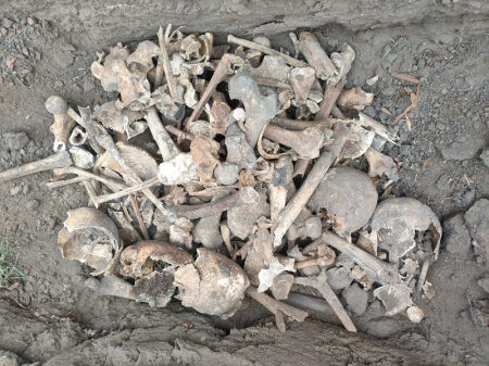 В Борисоглебске перезахоронили человеческие останки, обнаруженные во время реконструкции мемориала «Родина-мать»