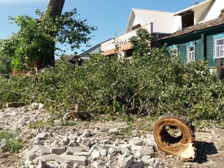 В Борисоглебске продолжается спиливание аварийных деревьев