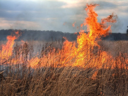 В Воронежской области загорелся полигон с боеприпасами