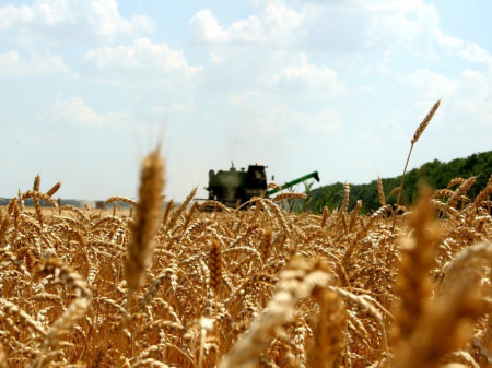Аграрии Воронежской области намолотили второй миллион тонн зерна
