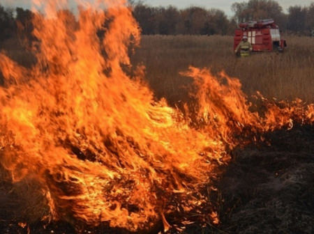 В восточных районах Воронежской области вновь возросла опасность ландшафтных пожаров
