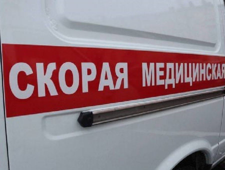 В аварии с грузовиком в Грибановском районе погибли два человека