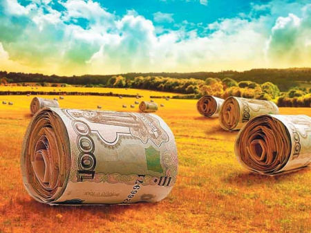 Инвестиции в агробизнес Воронежской области за этот год оценили в 30 млрд рублей