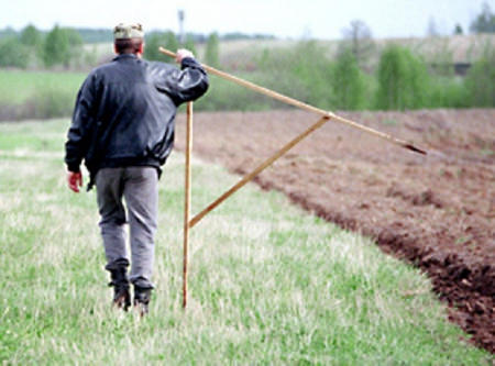 В Поворинском районе оштрафовали фермера, незаконно захватившего 20 га земли