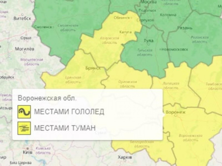 В Воронежской области ввели желтый уровень опасности из-за мокрого снега с туманом