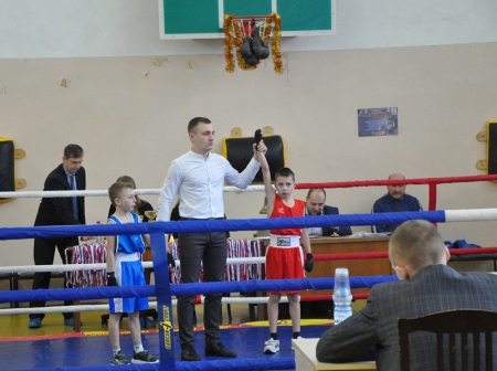 Грибановский турнир по боксу собрал 15 команд из 5 регионов страны