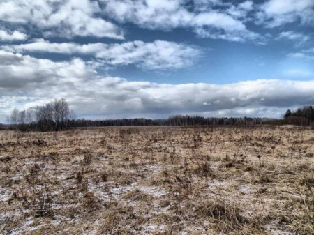 Больше 500 тыс га неиспользуемых земель насчитали в Воронежской области