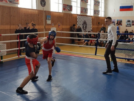 Грибановка вновь станет местом проведения межрегионального турнира по боксу