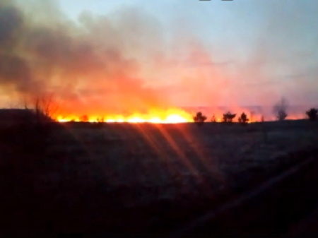 118 пожаров произошло за сутки в Воронежской области