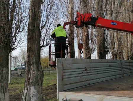 В Терновском районе начались весенние работы по формирующей и санитарной обрезке деревьев