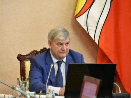 Губернатор Воронежской области обещал рассмотреть послабления учреждениям культуры и спорта