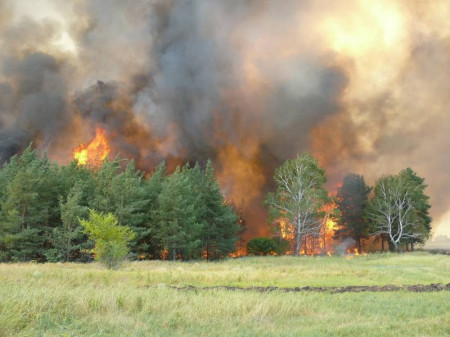 Штормовое предупреждение из-за жары и пожарной опасности на востоке Воронежской области объявили спасатели