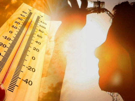 Об опасной жаре вновь предупредили метеорологи в Воронежской области