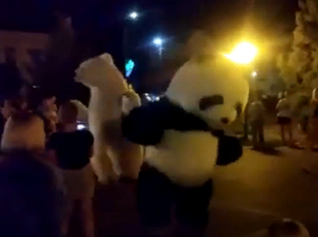 Танцующих медведей сняли на видео в центре Борисоглебска
