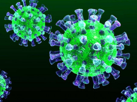 Фокус со статистикой: количество выздоровевших от коронавируса превзошло количество зараженных в Воронежской области