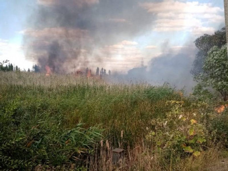 Ландшафтный пожар вспыхнул в поселке Грибановский в субботу