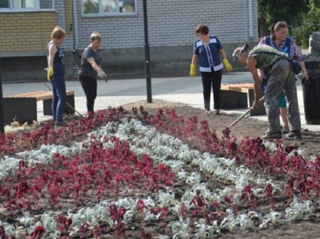 В Поворино в честь 150-летия города высадили 6,3 тыс. цветов
