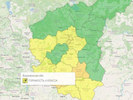 Желтый уровень опасности объявили из-за погоды в Воронежской области