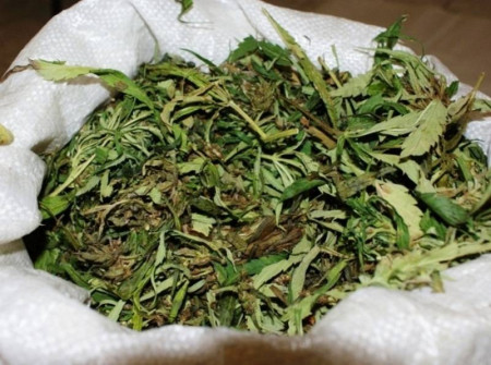 Борисоглебцу грозит до 10 лет тюрьмы за хранение марихуаны