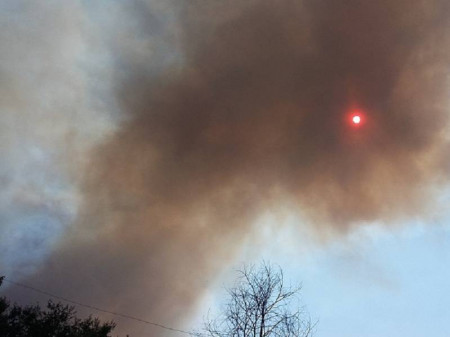 Дым от масштабного лесного пожара закрыл солнце над Борисоглебском