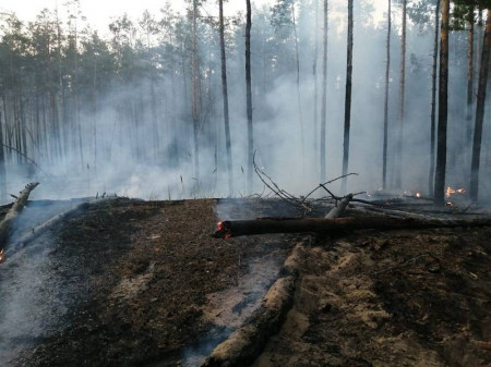 Спасатели продолжают бороться с огнем под Борисоглебском