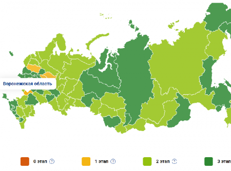 Место Воронежской области на коронавирусной карте России