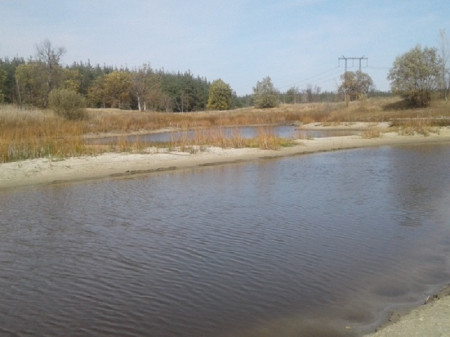В Хопёрском заповеднике из-за засушливого лета обмелело озеро Ульяновское