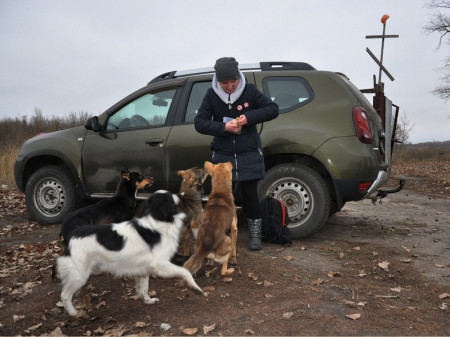 В Новохопёрском районе брошенные собаки охраняют бывший лагерь геологоразведчиков УГМК