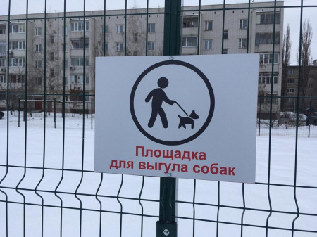 Борисоглебским собакам предложили какать по графику