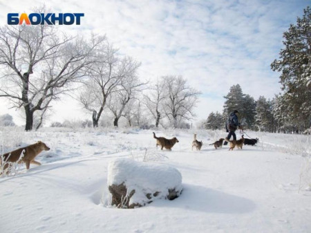 30-градусные морозы накроют Воронежскую область