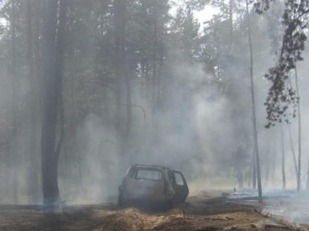 Загоревшиеся машины подожгли лес под Борисоглебском