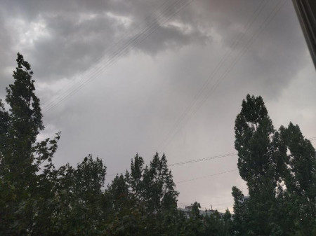 О грозах и сильных порывах ветра предупреждают жителей Воронежской области метеорологи